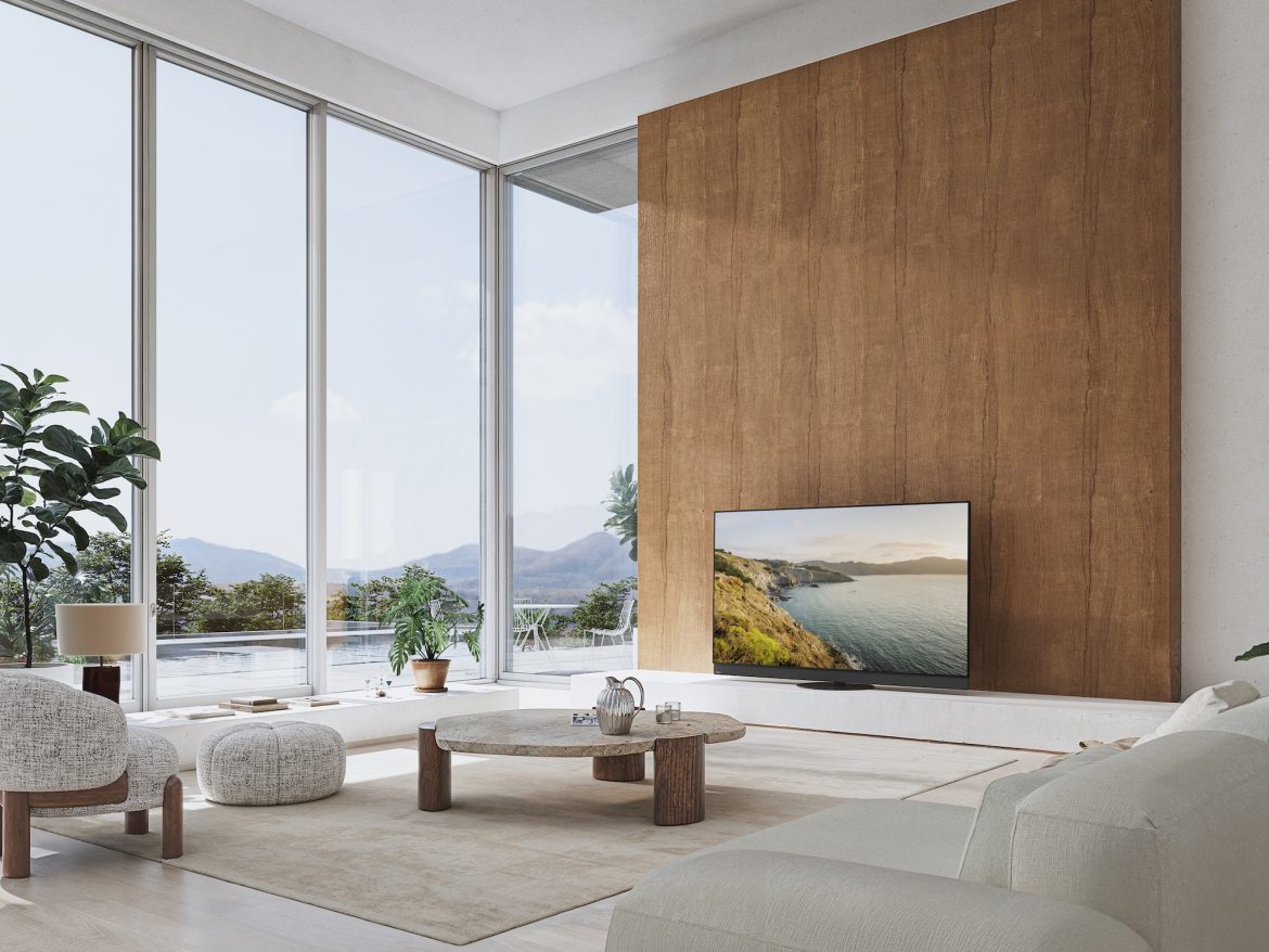 panasonic z95b recension senses