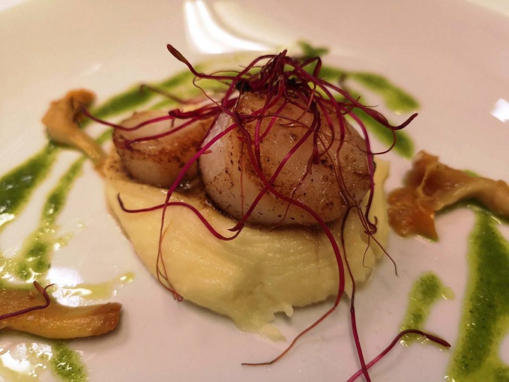 sauterad kammussla på en palsternackspuré, serverad med picklade kantareller och örtolja.