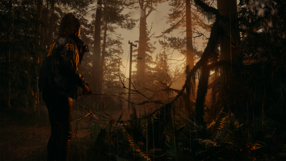 Foto: ©2023 – Epic Games - Alan Wake II - Scary woods