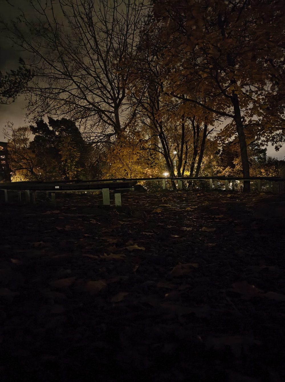 Nattbild med kamerans nattläge