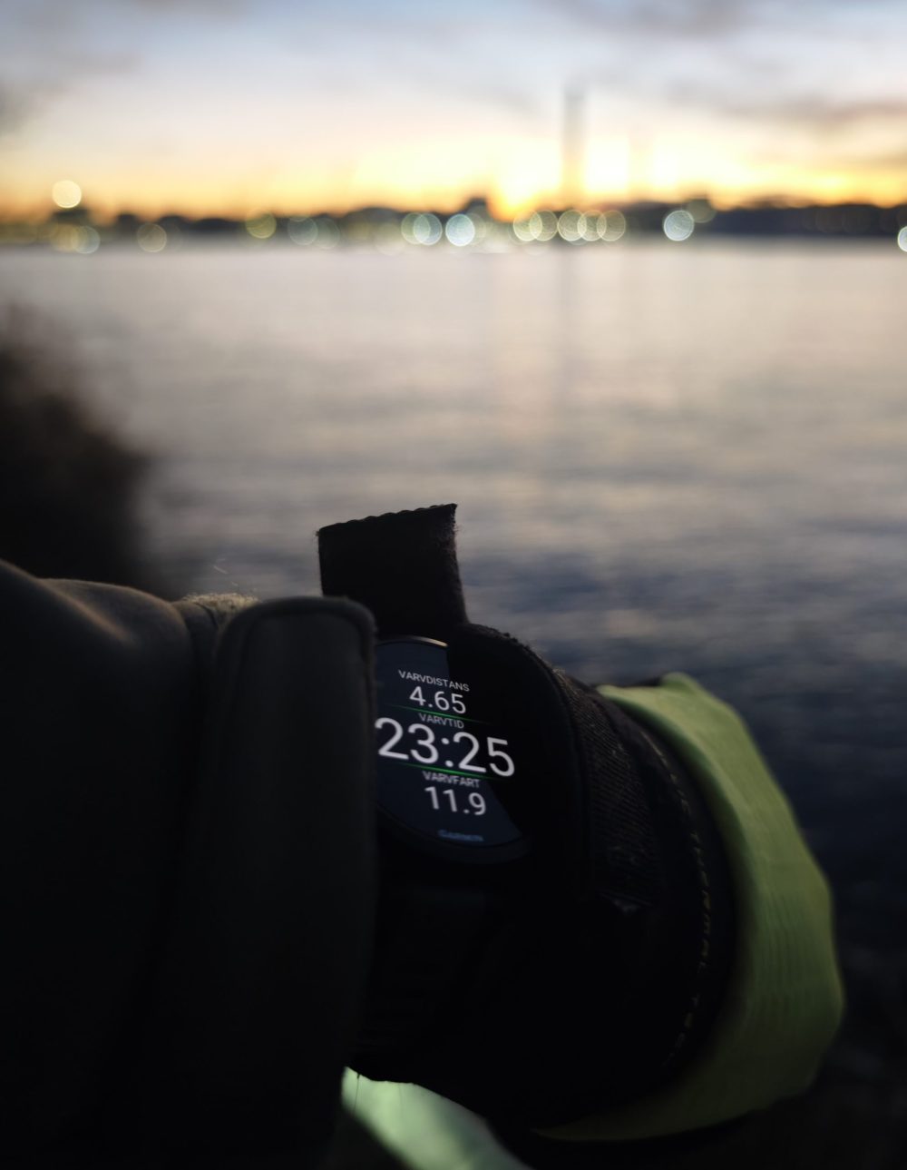 Garmin Forerunner 165 Music (Foto: senses.se)