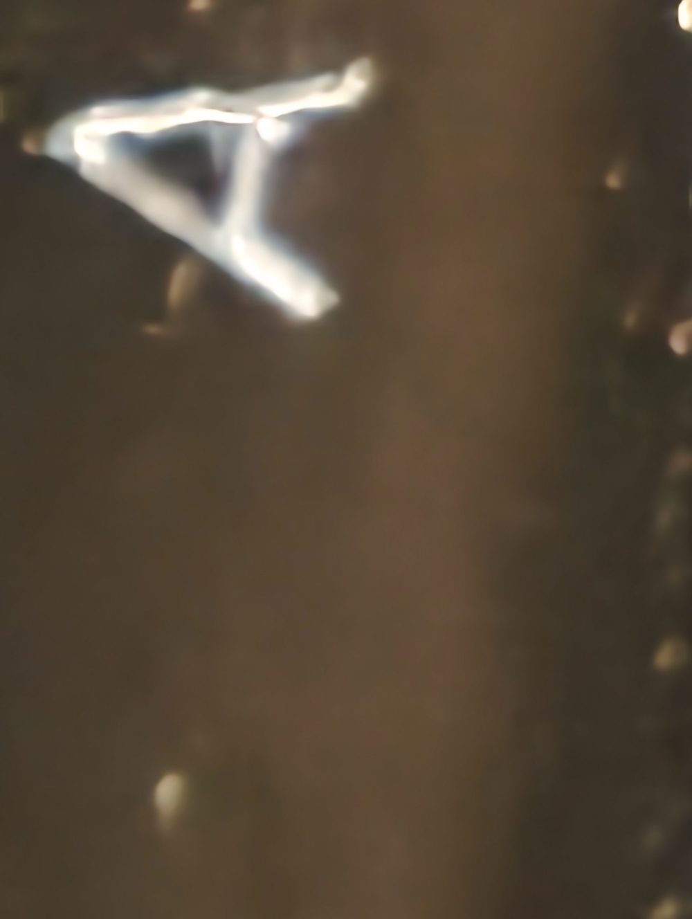 Xiaomi 17 Ultra zoom förmåga. (Foto: senses.se)