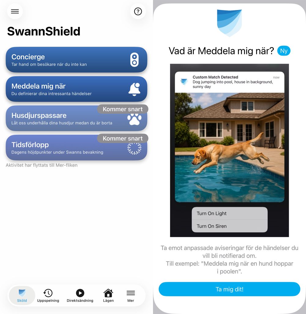 Foto: Senses.se - SwannBuddy4K - Screenshots