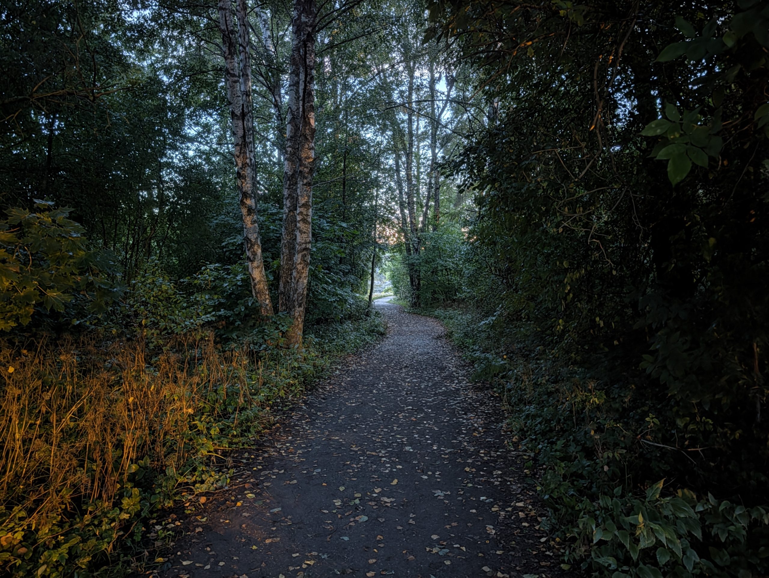 Google Pixel 11 Pro XL – Night mode on/off. Significantly faster than previous generations